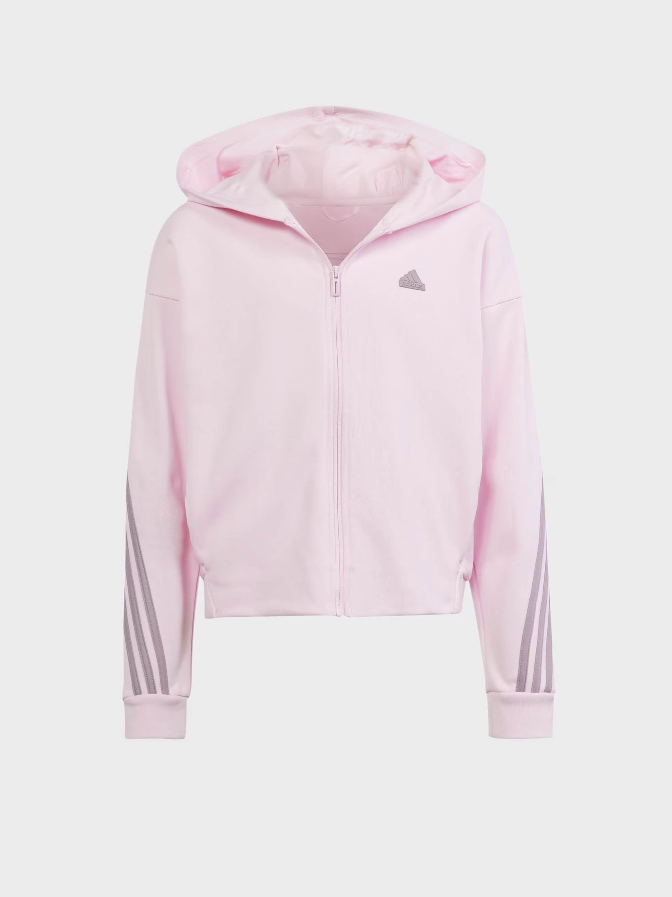 Худи и свитшоты Adidas FUTURE ICONS 3-STRIPES FULL-ZI модель IS3407 Фото