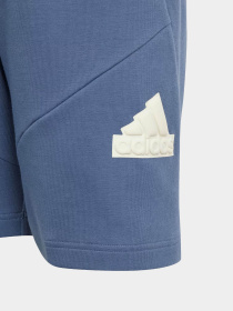 Шорты Adidas FUTURE ICONS LOGO 8-INCH модель IS4418 Фото