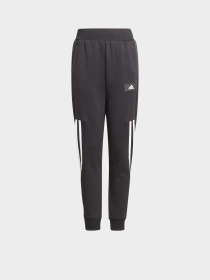 Брюки Adidas FUTURE ICONS 3-STRIPES SPORTSW модель GT9433 Фото