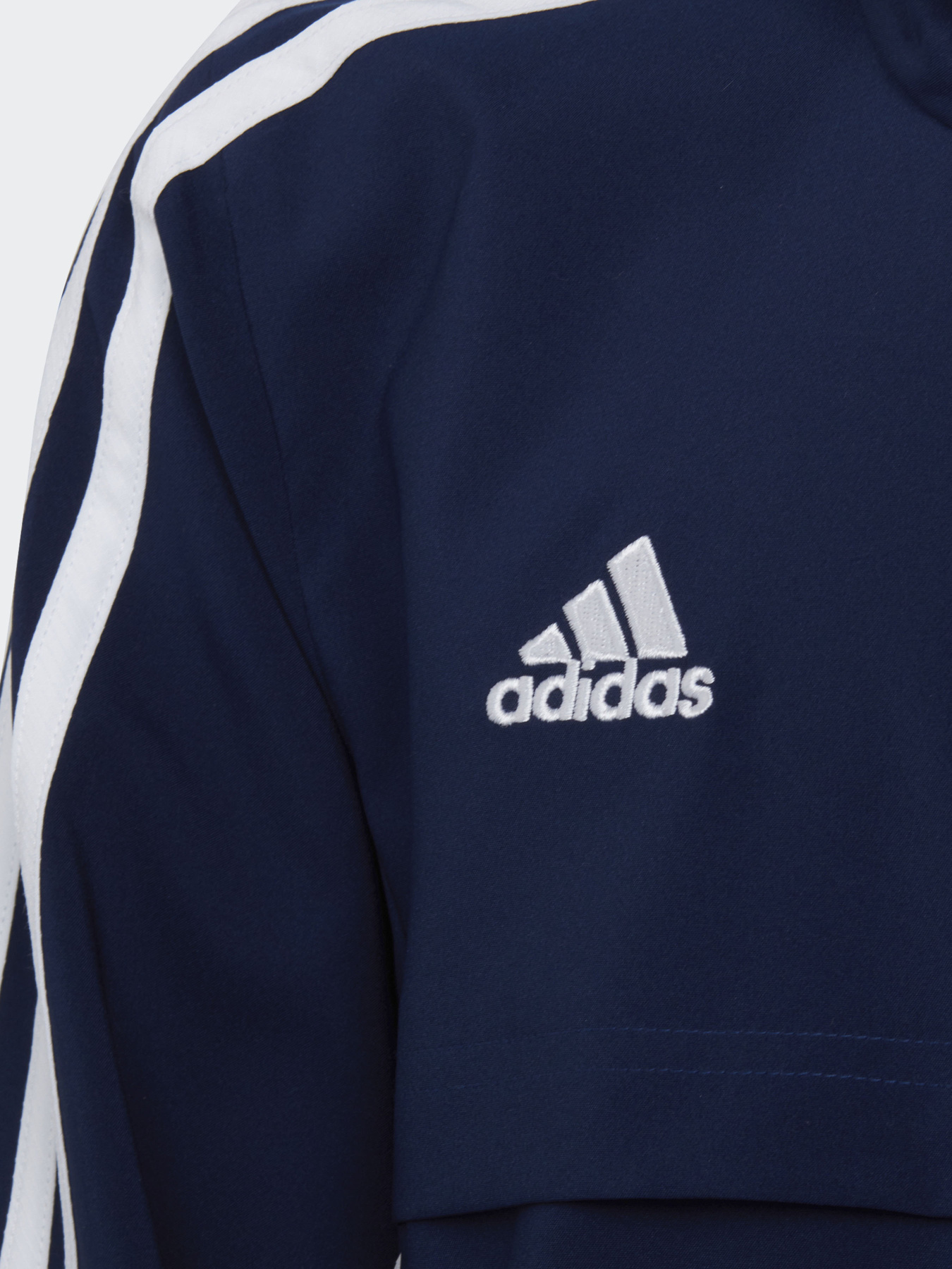 Худи и свитшоты Adidas CONDIVO 22 PRESENTATION PERFOR модель H21286 Фото