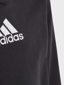 Худи и свитшоты Adidas BRAND LOVE ALLOVER PRINT модель HR6349 Фото