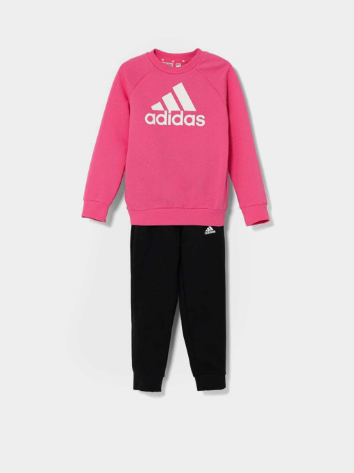 Костюми Adidas ESSENTIALS LOGO FLEECE модель IX7319 Фото