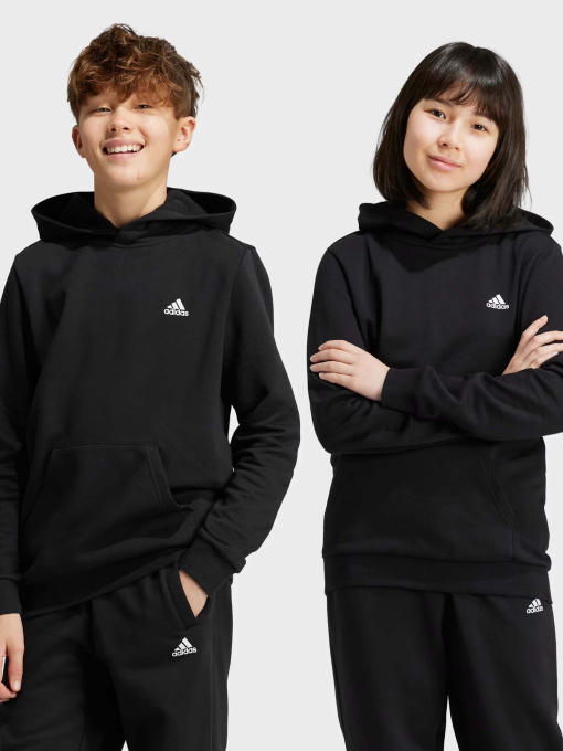 Худи и свитшоты Adidas ESSENTIALS SMALL LOGO FEEL COZ модель IV7310 Фото