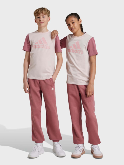 Штани Adidas ESSENTIALS FEEL COZY модель IW0868 Фото