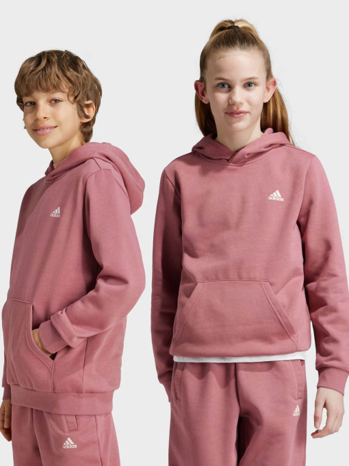 Худі та світшоти Adidas ESSENTIALS SMALL LOGO модель IX9509 Фото