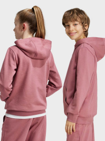Худи и свитшоты Adidas ESSENTIALS SMALL LOGO модель IX9509 Фото