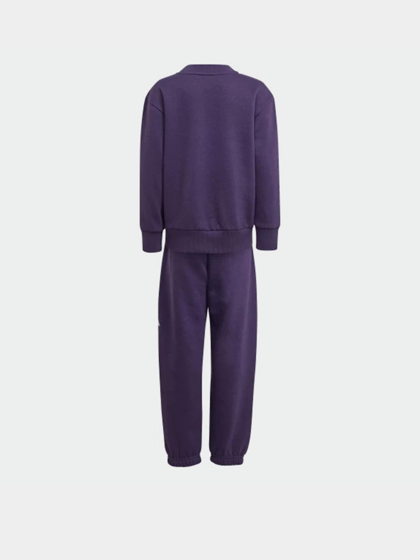 Костюмы Adidas Essentials Kids модель JW2439 Фото