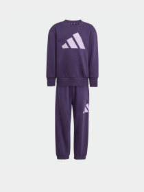Костюми Adidas Essentials Kids модель JW2439 Фото