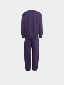 Костюмы Adidas Essentials Kids модель JW2439 Фото