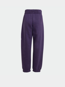 Костюмы Adidas Essentials Kids модель JW2439 Фото