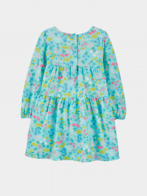 Сукні Carter’s модель 1H402910-multi Фото