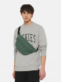 Сумки Dickies Duck Canvas модель DK0A4XOYH151 Фото