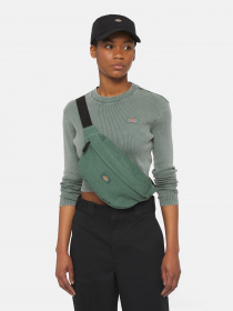Сумки Dickies Duck Canvas модель DK0A4XOYH151 Фото