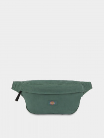 Сумки Dickies Duck Canvas модель DK0A4XOYH151 Фото