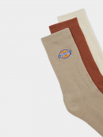 Шкарпетки та гольфи Dickies Valley Grove модель DK0A4X82SS01 Фото