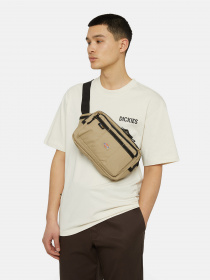 Сумки Dickies Ashville Cross Body модель DK0A4Y1VKHK1 Фото