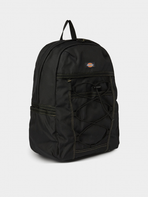 Рюкзаки Dickies Ashville модель DK0A4Y33BLK1 Фото