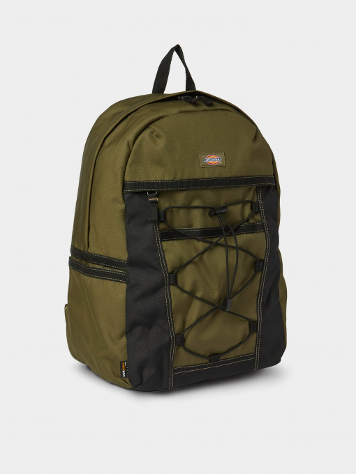 Рюкзаки Dickies Ashville модель DK0A4Y33MGR1 Фото