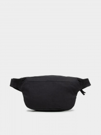 Сумки Dickies Duck Canvas модель DK0A4XOYBLK1 Фото