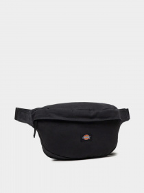 Сумки Dickies Duck Canvas модель DK0A4XOYBLK1 Фото