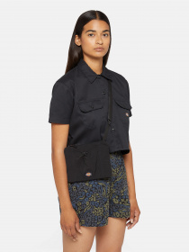 Сумки Dickies Fincastle Pouch модель DK0A4YP5BLK1 Фото