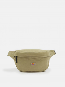 Сумки Dickies Duck Canvas модель DK0A4XOYDS01 Фото