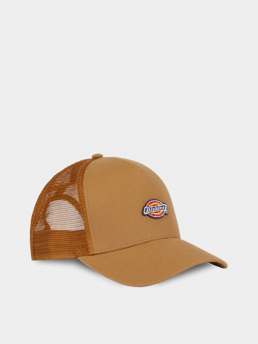 Шапки и кепки Dickies Hanston Trucker модель DK0A4YV3BD01 Фото