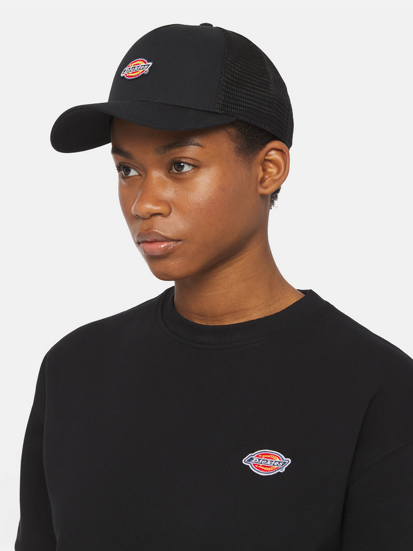 Шапки и кепки Dickies Hanston Trucker модель DK0A4YV3BLK1 Шапки и кепки Dickies Hanston Trucker модель DK0A4YV3BLK1 Фото