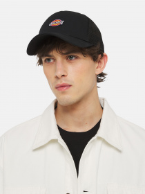 Шапки и кепки Dickies Hanston Trucker модель DK0A4YV3BLK1 Фото