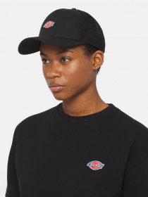 Шапки и кепки Dickies Hanston Trucker модель DK0A4YV3BLK1 Фото