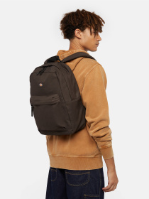 Рюкзаки Dickies Dickies Duck Canvas 22L модель DK0A4YOC0DB1 Фото