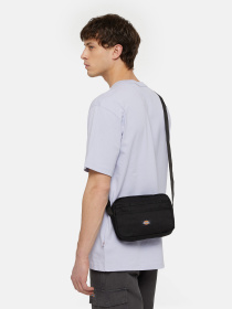 Сумки Dickies Moreauville модель DK0A4YYIBLK1 Фото