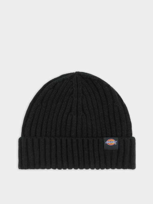 Шапки и кепки Dickies Lockwood модель DK0A4Z2OBLK1 Фото