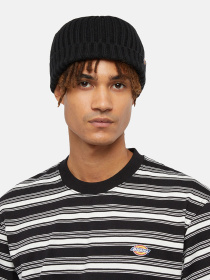 Шапки та кепки Dickies Lockwood модель DK0A4Z2OBLK1 Фото