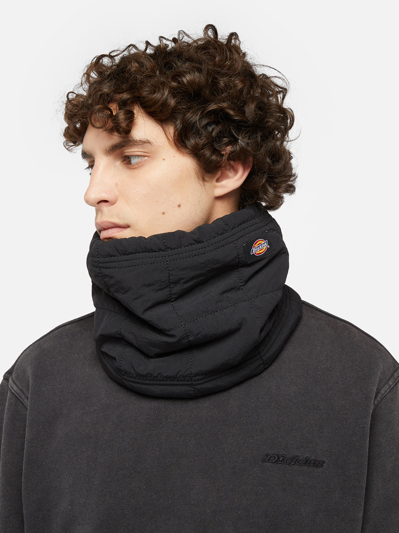 Шарфы и платки Dickies модель DK0A4Z3BBLK1 Шарфы и платки Dickies модель DK0A4Z3BBLK1 Фото