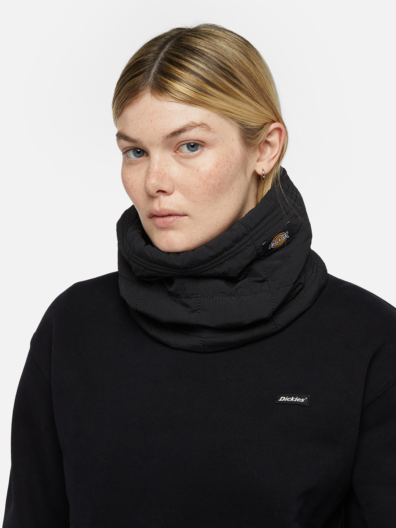 Шарфы и платки Dickies модель DK0A4Z3BBLK1 Шарфы и платки Dickies модель DK0A4Z3BBLK1 Фото