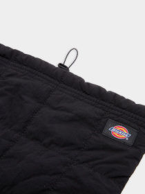 Шарфы и платки Dickies модель DK0A4Z3BBLK1 Фото