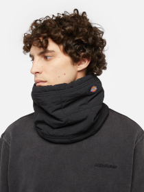 Шарфы и платки Dickies модель DK0A4Z3BBLK1 Фото