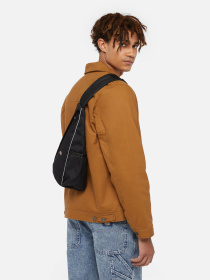 Сумки Dickies Ashville Sling модель DK0A4Z3IBLK1 Фото