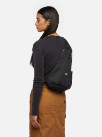 Сумки Dickies Ashville Sling модель DK0A4Z3IBLK1 Фото