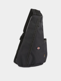 Сумки Dickies Ashville Sling модель DK0A4Z3IBLK1 Фото