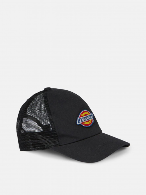 Шапки и кепки Dickies Sumiton Trucker модель DK0A4XYGBLK1 Фото