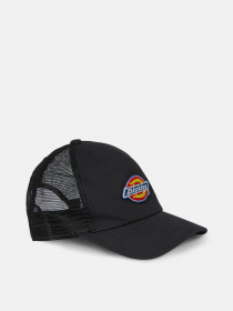 Шапки и кепки Dickies Sumiton Trucker модель DK0A4XYGBLK1 Фото