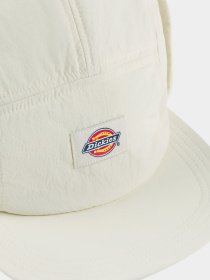 Шапки та кепки Dickies Glendive модель DK0A4Z3LF901 Фото