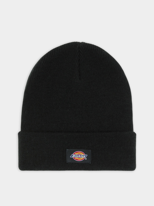 Шапки и кепки Dickies Gibsland модель DK0A4Z3RBLK1 Фото