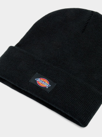 Шапки та кепки Dickies Gibsland модель DK0A4Z3RBLK1 Фото
