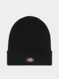 Шапки и кепки Dickies Gibsland модель DK0A4Z3RBLK1 Фото