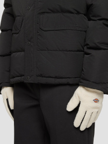 Рукавиці та рукавички Dickies Pinesdale модель DK0A4ZAVF901 Фото