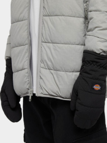 Рукавиці та рукавички Dickies модель DK0A4ZAZBLK1 Фото
