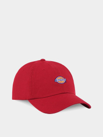 Шапки та кепки Dickies Hardwick модель DK0A4TKV0ER1 Фото
